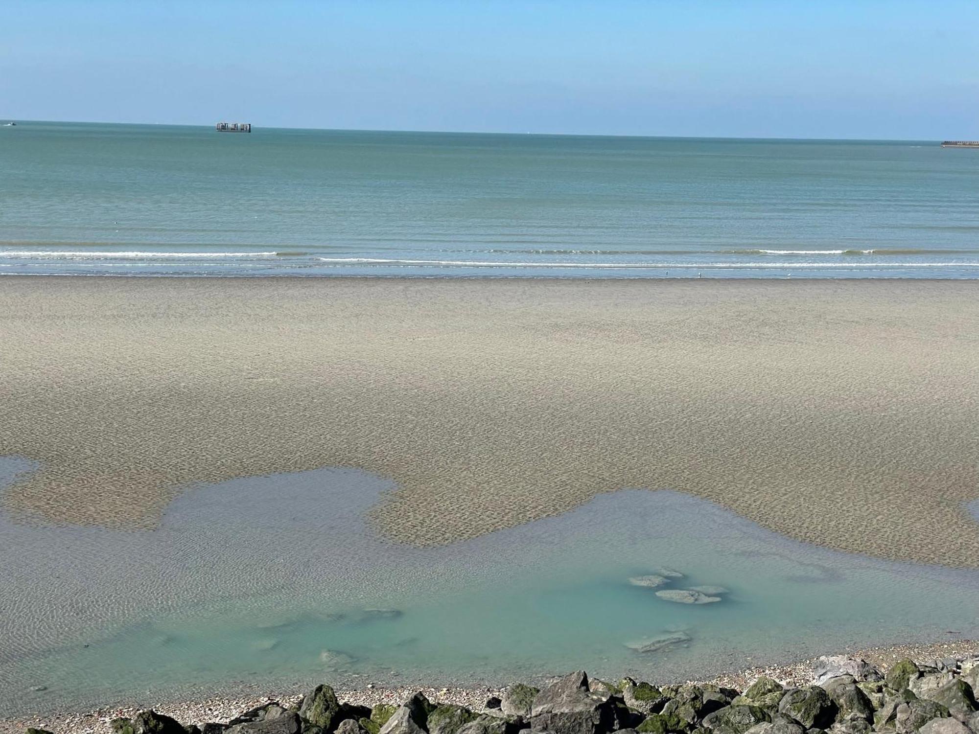 Villa Face Mer Aux Magnifiques Couchers De Soleil 5 Mn De Nausicaa Boulogne-sur-Mer Eksteriør billede
